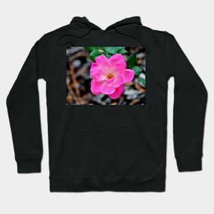 Pink Beauty Hoodie